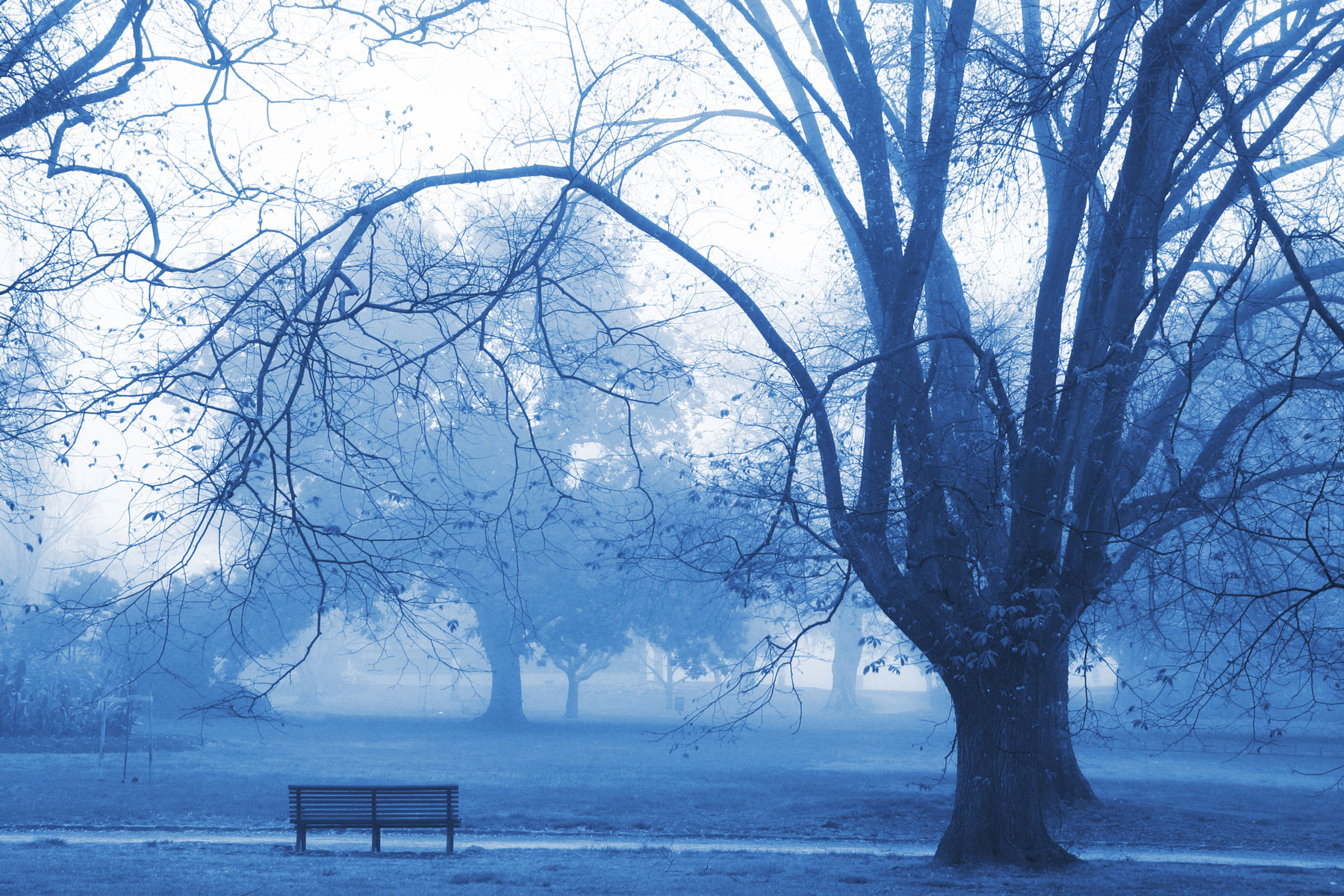 3 steps to beat the winter blues